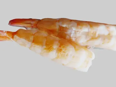 Sushi Delight 3D Scanned Shrimp Nigiri Low-poly 3D model