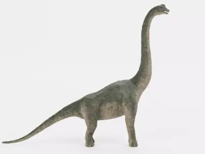 Brachiosaurus - Realistic Dinosaur Rigged 3D model