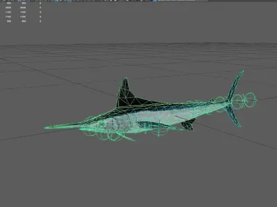 Spearfish Low-poly 3D model