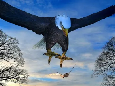 Eagle Attack  3D model