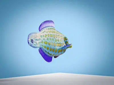 Colorful harlequin coral reef fish Low-poly 3D model