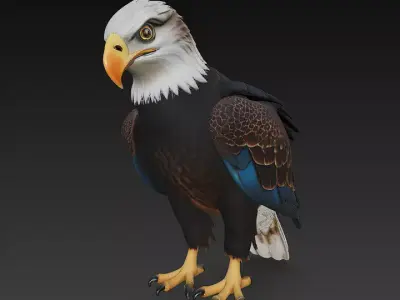 Eagle Realistic 3D Model - Low Poly Realistic Low-poly 3D model