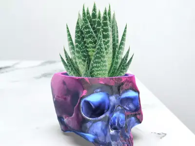 Skull Planter Human Skull Flower Pot Spooky Decor Planter 3D print model