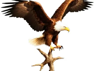 Majestic Eagle  3D model