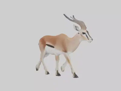 Grants gazelle Low-poly 3D model