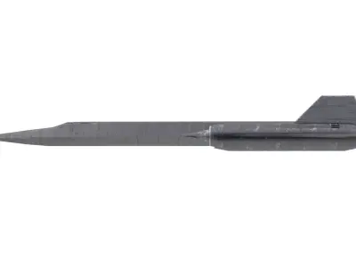 4K Lowpoly Blackbird in Maya Arnold Material Low-poly 3D model