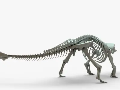 Ankylosaurus Rigged Skeleton Low-poly 3D model