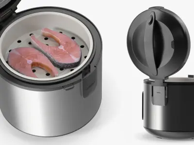 Aroma Multicooker With Steamed Salmon 3D model