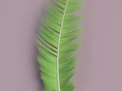 Feather palm leaf Free 3D model