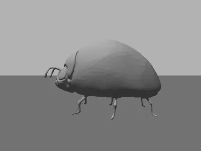 Beetle1 beetle Free 3D model