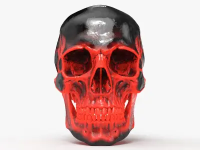 Human Skull Sci-fi Hot 3D model