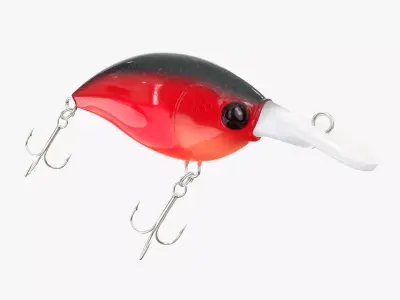 Crank type fishing lure 3D model