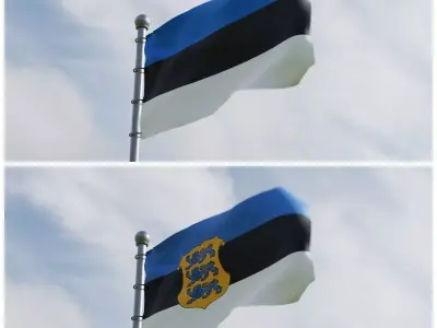 Animated Estonia Flags 3D model