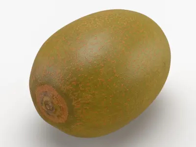 Golden Kiwi 3D model purchase