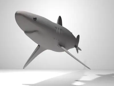 Shark - Piked 3D model