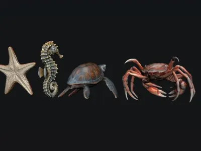 Sea Animals 3D model