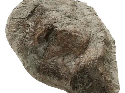  Large Wave Beach Rock Model 