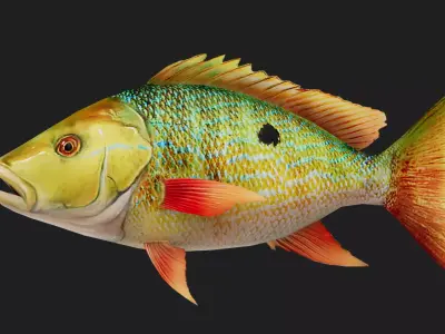 Snapper Low-poly 3D model