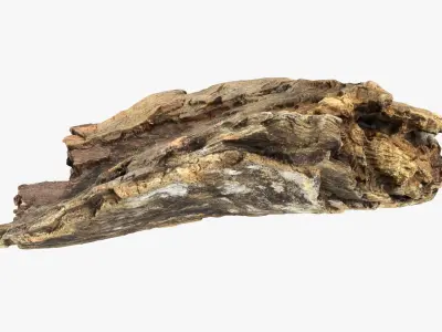 Tree Trunk Piece 13 3D model