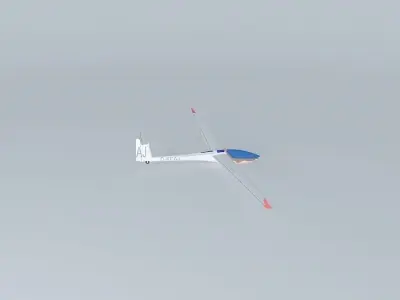 DG-800 glider flying in sky 3D model