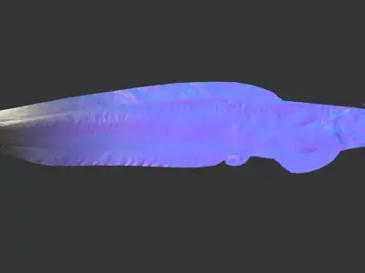 Amur Catfish Animated 3D model