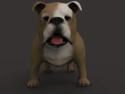 Buldog bulldog Free low-poly 3D model