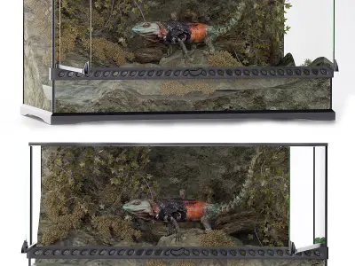 A set of terrariums  bonus Blue Island Viper Low-poly 3D model