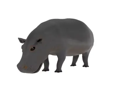Hippopotamus 3D Model Rigged and Animated Low-poly 3D model
