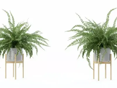 Big fern in modern flower pot Free 3D model