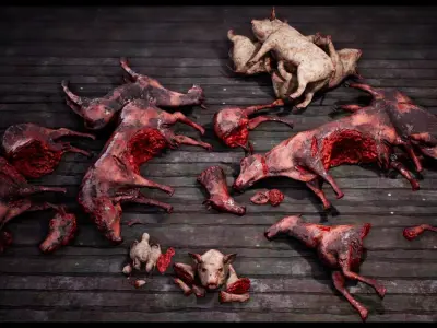 Death animals body parts collection  Low-poly 3D model