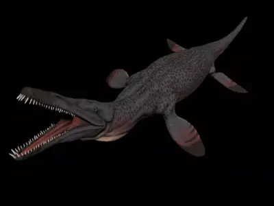 Pliosaurus Pack Low-poly 3D model