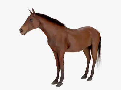 Horse Textured Low-poly 3D model