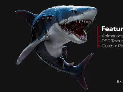 Megalodon Shark Model GameReady Ocean Predator Low poly fish - 7 Low-poly 3D model