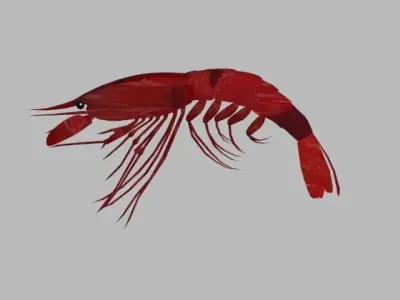 SHRIMP LOW POLY 3D model