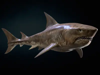AlienShark 5 Low-poly 3D model