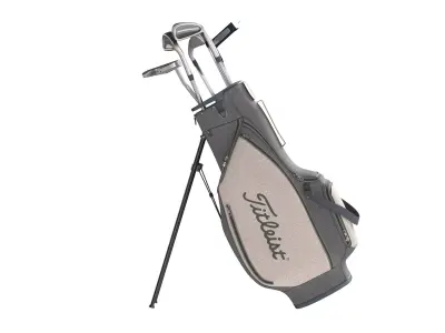Golf Bag Clubs and Putter  Low-poly 3D model