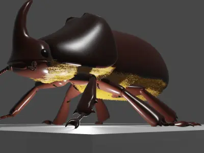 european rhino beetle Low-poly 3D model