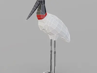 Low Poly Bird stork Low-poly 3D model