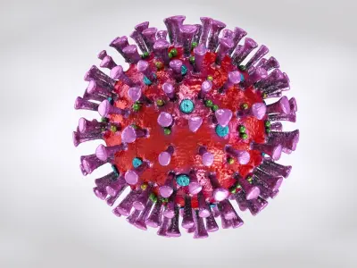 Corona virus 2019 3D model