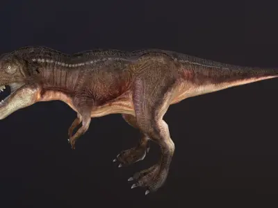 Tyrannosaurus t - rex Low-poly 3D model