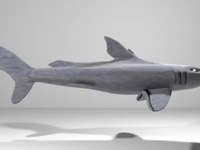 Shark - Bullshark 3D model
