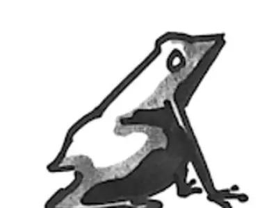 Frog Character Free low-poly 3D model