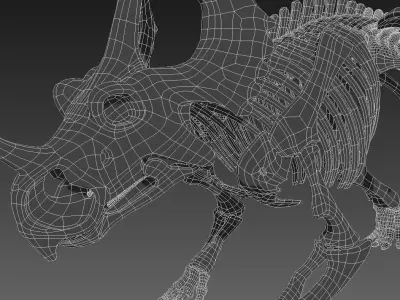 Styracosaurus skeleton 3D model