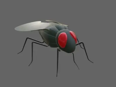 Mosquito - Fly Low-poly 3D model