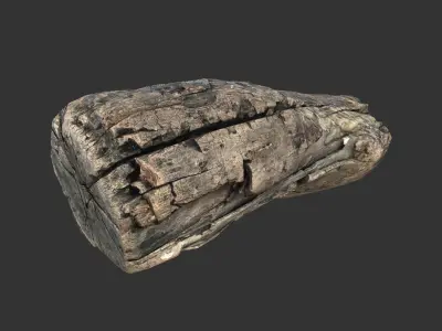 Realistic tree trunk Low-poly 3D model