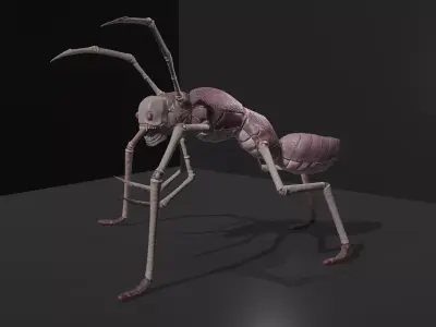  Arthropoda creature Low-poly 3D model