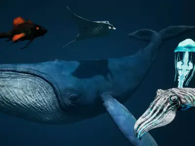 Sea Creature Pack Low-poly 3D model