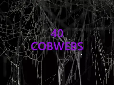40 High Detailed COBWEBS 3D model