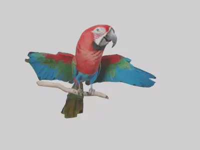 Greenwinged Macaw perched model Low-poly 3D model