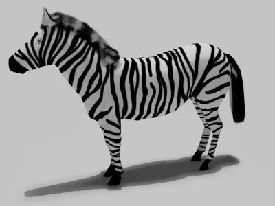 Zebra Free 3D model